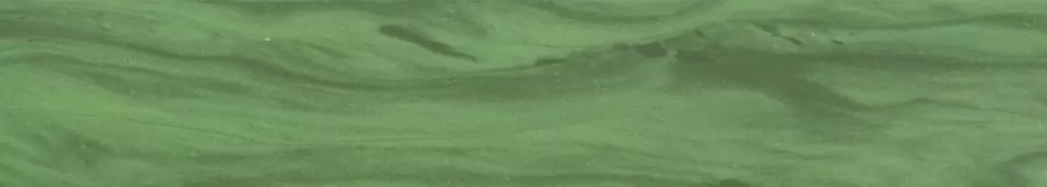 „Man muss das Unternehmer-Gen haben“ • Jochen Gewecke